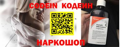 индика Дмитров