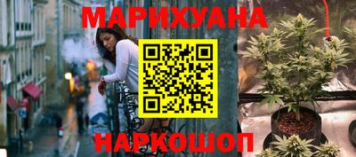 сатива Шахты