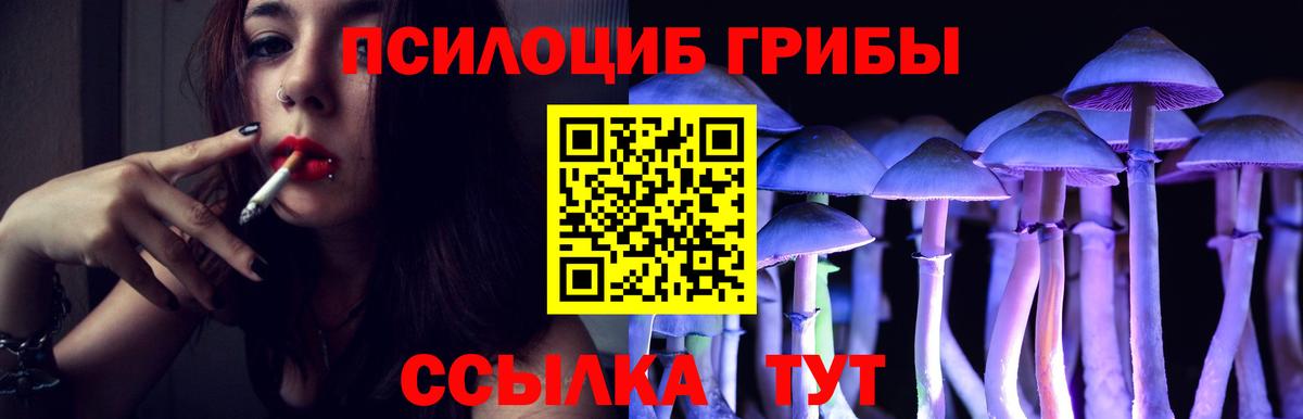 Гусев  Галлюциногенные грибы GOLDEN TEACHER  Вход с VPN 